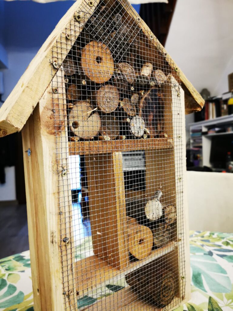 estructura-madera